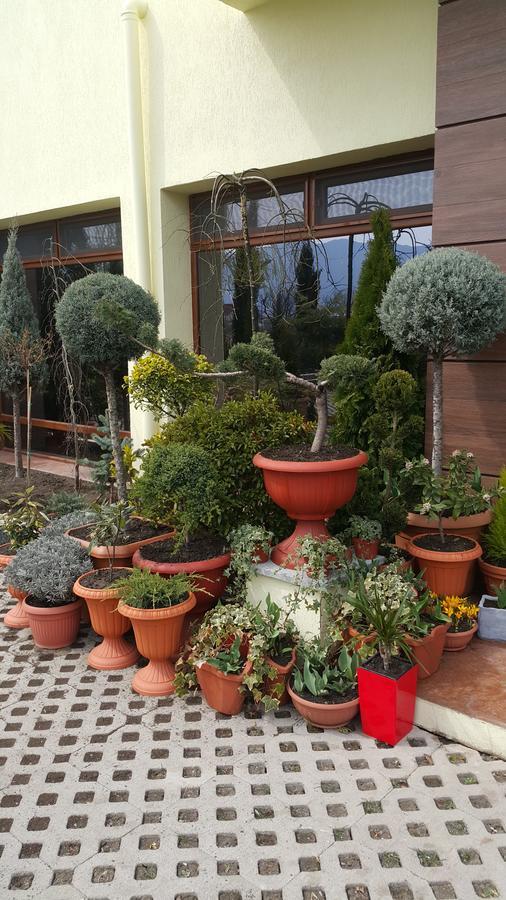Natakhtari Hotel Emocia מראה חיצוני תמונה